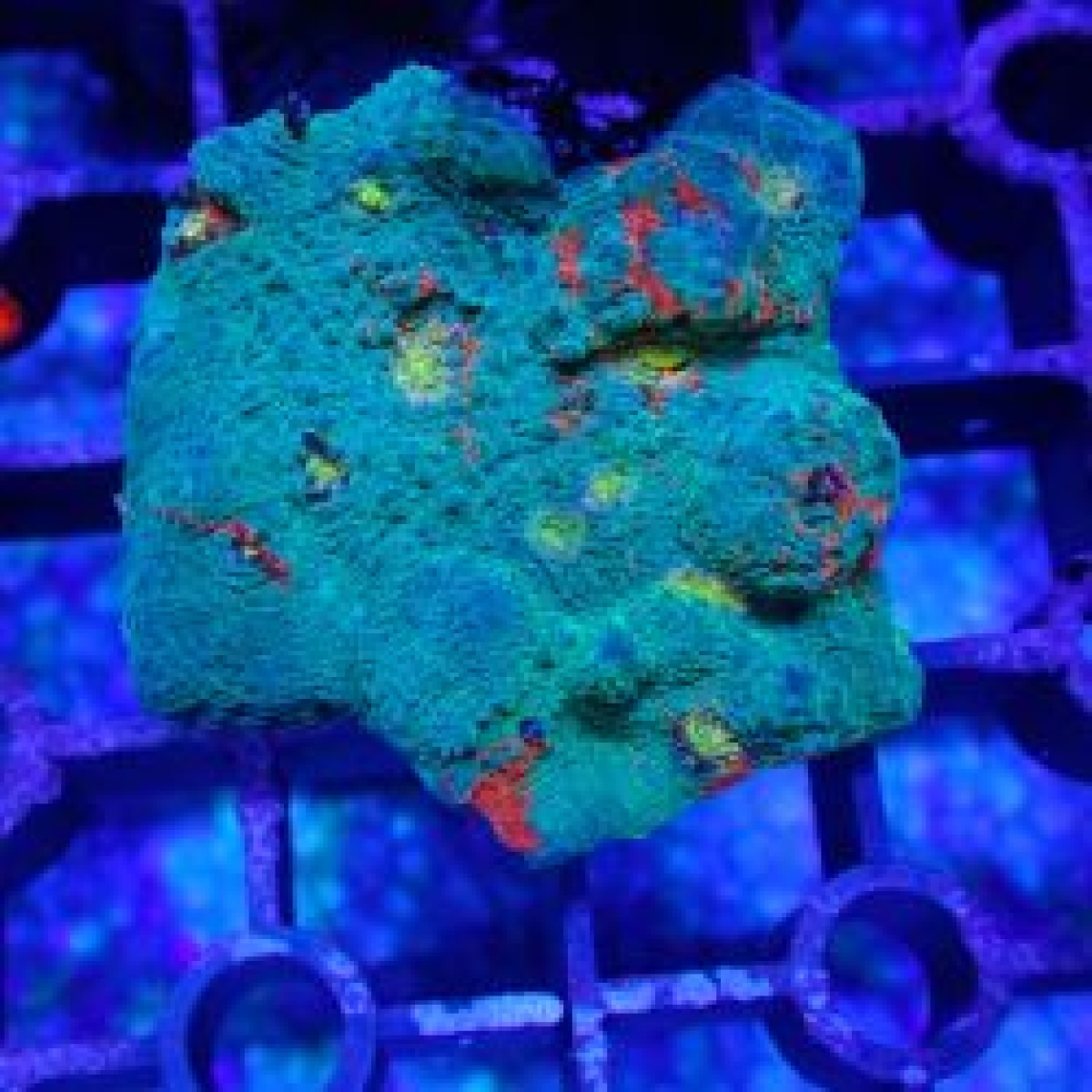 HAVALANDIRMA HORTUMU. M52-M54. E39-E46-E60-E61-E65-E66-E83.